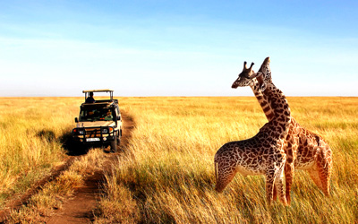 Flights to Tanzania